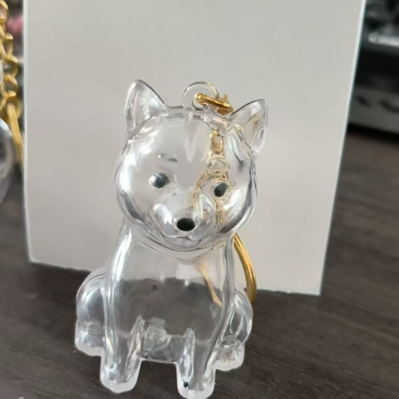 Carry Your Pet’s Fur Forever – Cute Keepsake Keychain 🐾