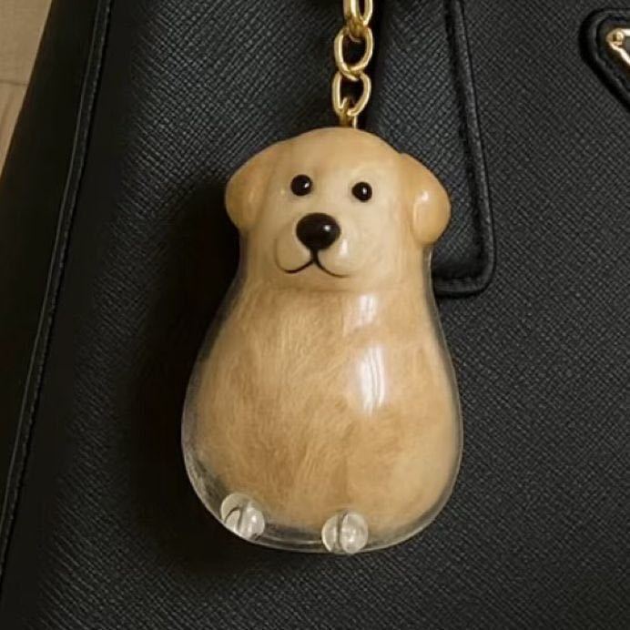 Carry Your Pet’s Fur Forever – Cute Keepsake Keychain 🐾